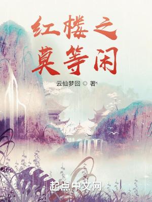 红楼之莫等闲