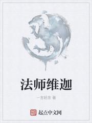 法师维迦