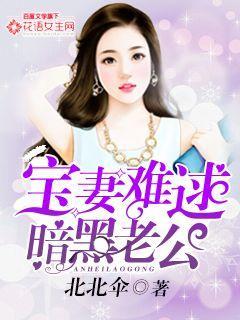 暗黑老公，宝妻难逑